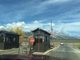 Just love flashing the pass at this booths!